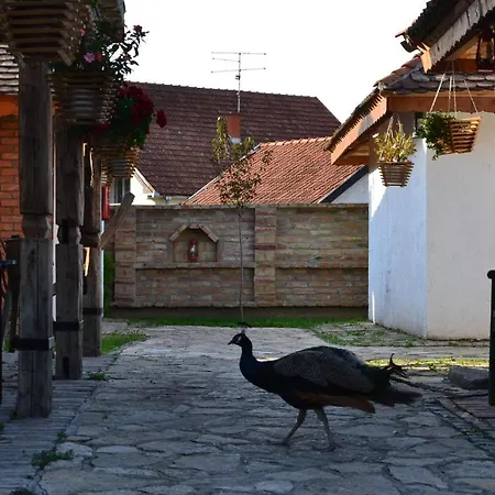Мотель Srpsko Andrejevo Selo Белград